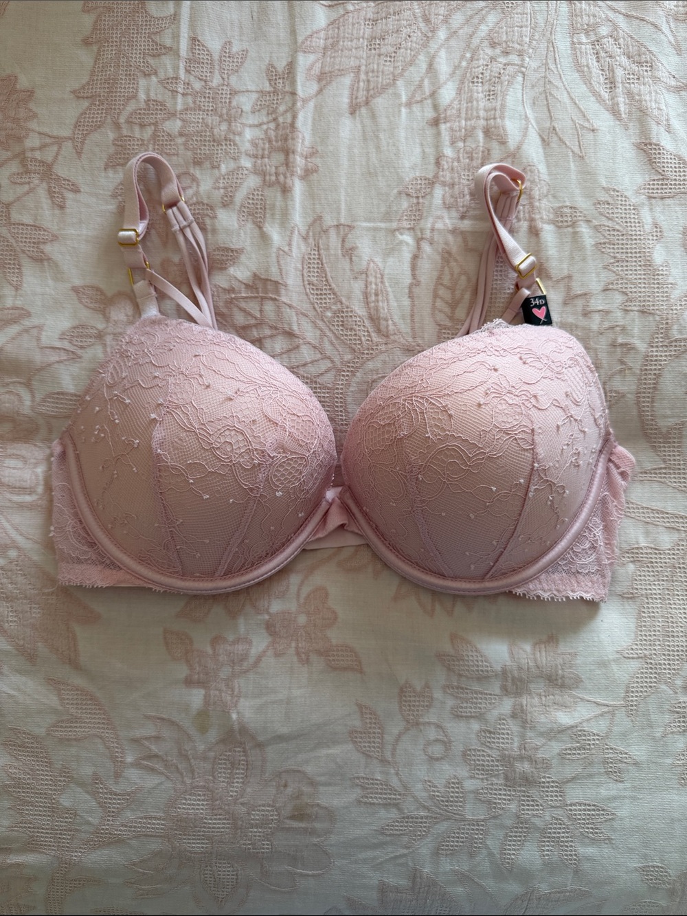 NWT Victorias Secret Light Pink Lace Push-Up Bra 34D